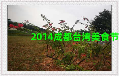 2014成都台湾美食节