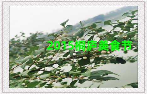 2015桐庐美食节