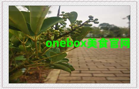onebox美食官网